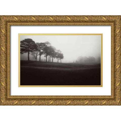 Fog Tree Study III Gold Ornate Wood Framed Art Print with Double Matting by Cook, Jamie