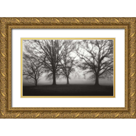 Fog Tree Study IV Gold Ornate Wood Framed Art Print with Double Matting by Cook, Jamie
