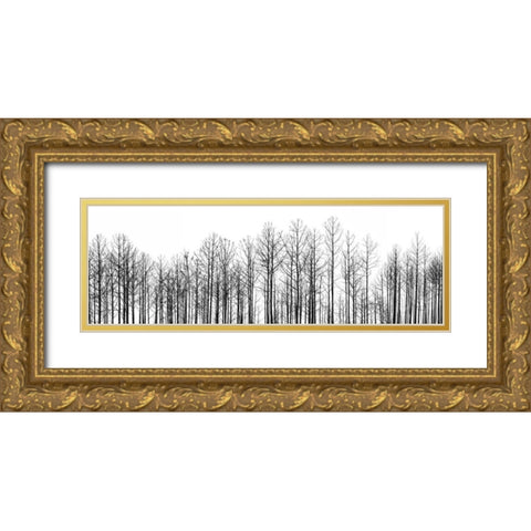 Straightforward Gold Ornate Wood Framed Art Print with Double Matting by Cook, Jamie