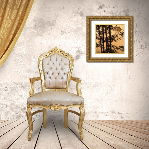 Shadow Play II Gold Ornate Wood Framed Art Print with Double Matting by Endo, Madeleine