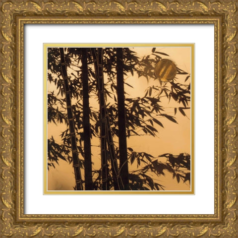 Shadow Play II Gold Ornate Wood Framed Art Print with Double Matting by Endo, Madeleine
