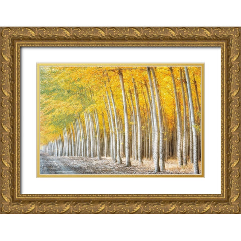 Gold Alley Gold Ornate Wood Framed Art Print with Double Matting by Frates, Dennis