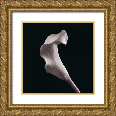 Lilies Gold Ornate Wood Framed Art Print with Double Matting by Faragher, Michael