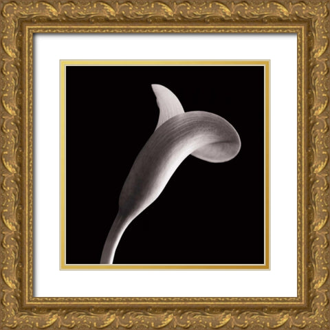 Lilies Gold Ornate Wood Framed Art Print with Double Matting by Faragher, Michael