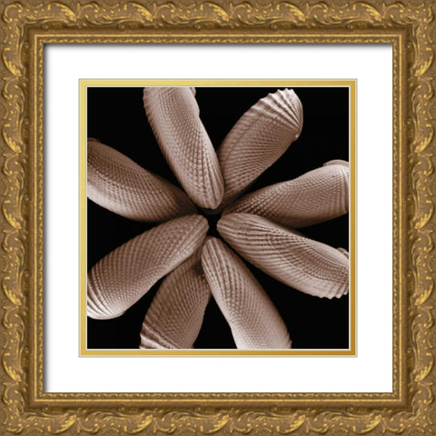 Convergence Gold Ornate Wood Framed Art Print with Double Matting by Faragher, Michael