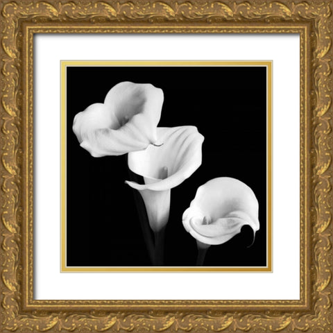 Sisters Gold Ornate Wood Framed Art Print with Double Matting by Faragher, Michael