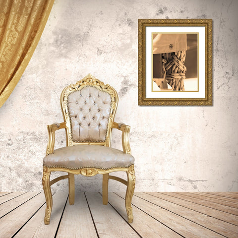 The Drasnin Nautical Series II Gold Ornate Wood Framed Art Print with Double Matting by Gilboa, Marina Drasnin