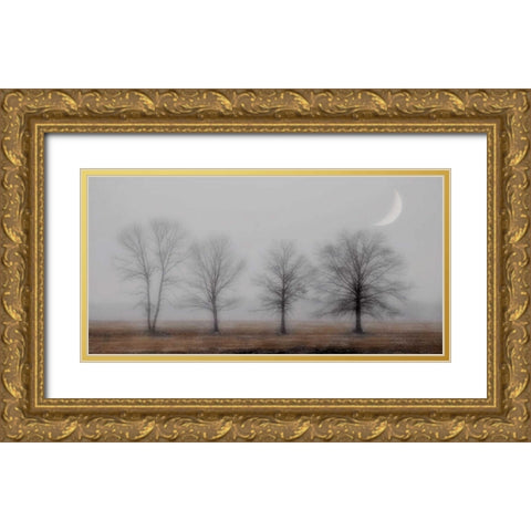 Early December Gold Ornate Wood Framed Art Print with Double Matting by Jacks, Heather