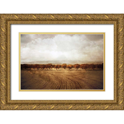 The Olive Grove Gold Ornate Wood Framed Art Print with Double Matting by Jacks, Heather