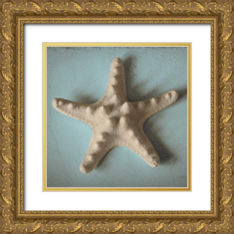 Seashell Study III Gold Ornate Wood Framed Art Print with Double Matting by Jacks, Heather