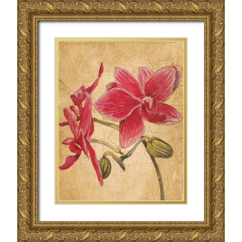 HawaiianTropics II Gold Ornate Wood Framed Art Print with Double Matting by Jardine, Liz