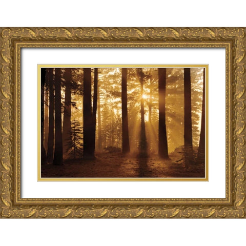 Tahoe Smoky Sunrise Gold Ornate Wood Framed Art Print with Double Matting by Jones, Mike