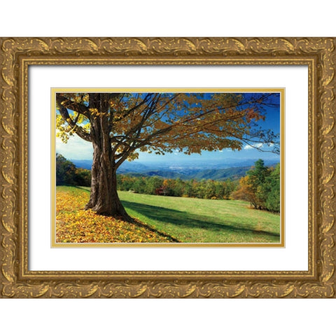 Blue Ridge Beauty Gold Ornate Wood Framed Art Print with Double Matting by Jones, Mike