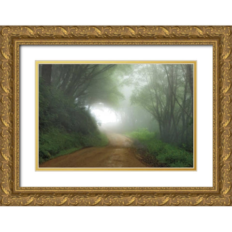 Road to Nowhere Gold Ornate Wood Framed Art Print with Double Matting by Jones, Mike