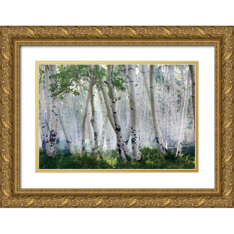 Up In The Clouds Gold Ornate Wood Framed Art Print with Double Matting by Jones, Mike
