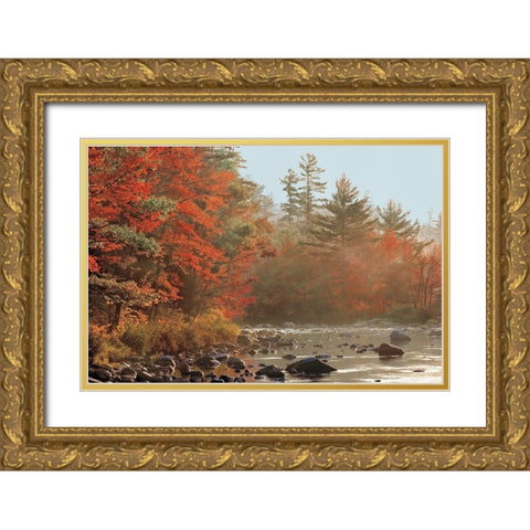 Foggy River Gold Ornate Wood Framed Art Print with Double Matting by Jones, Mike
