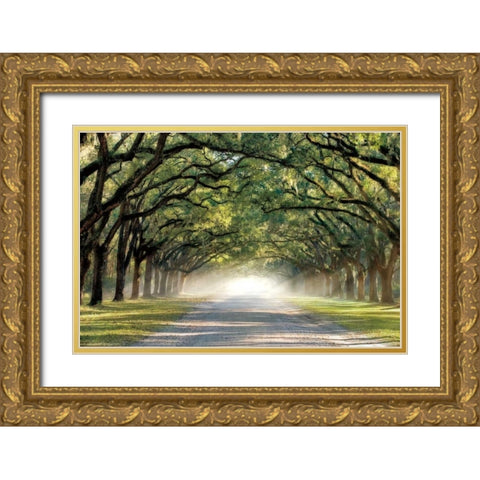 Hope and Glory Gold Ornate Wood Framed Art Print with Double Matting by Jones, Mike