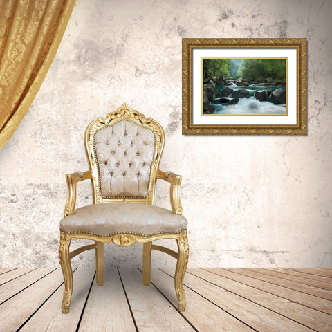 Secret Passage Gold Ornate Wood Framed Art Print with Double Matting by Jones, Mike