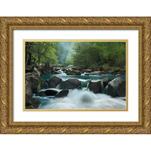 Secret Passage Gold Ornate Wood Framed Art Print with Double Matting by Jones, Mike
