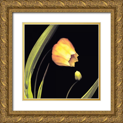 Japanese Lanterns Gold Ornate Wood Framed Art Print with Double Matting by Levine, Andrew