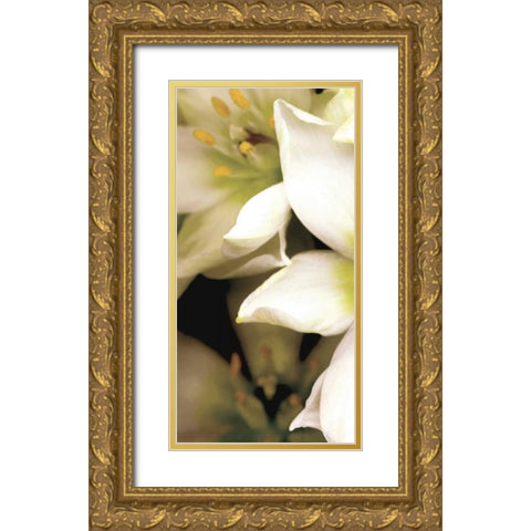 Star of Bethlehem Triptych Gold Ornate Wood Framed Art Print with Double Matting by Levine, Andrew
