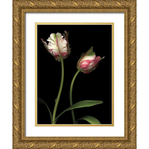 Parrot Tulips I Gold Ornate Wood Framed Art Print with Double Matting by Levine, Andrew