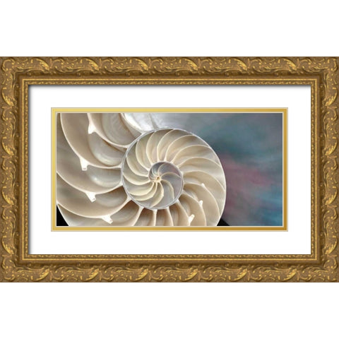 Nautilus Gold Ornate Wood Framed Art Print with Double Matting by Levine, Andrew