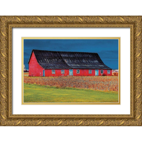 Big Red Gold Ornate Wood Framed Art Print with Double Matting by Lieberman , Burney