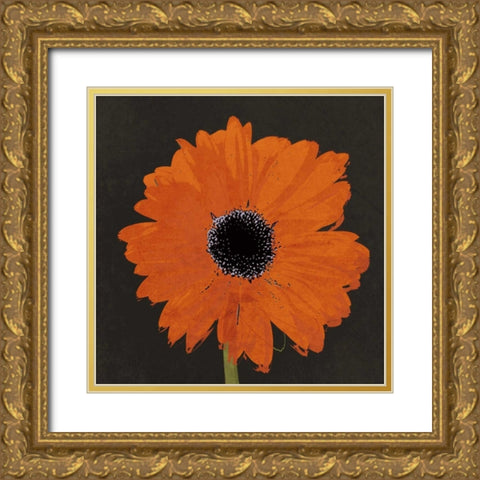 Midnight Gerbera I Gold Ornate Wood Framed Art Print with Double Matting by Lacie, Robert