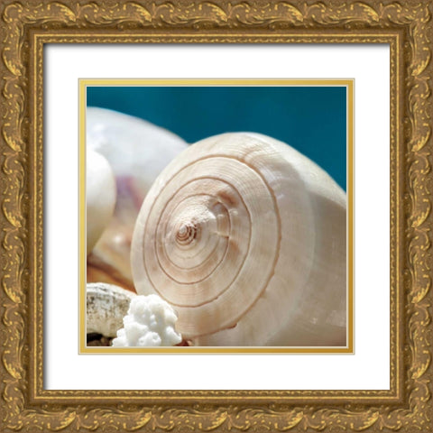 Shell Quartet Gold Ornate Wood Framed Art Print with Double Matting by Marie, Dina