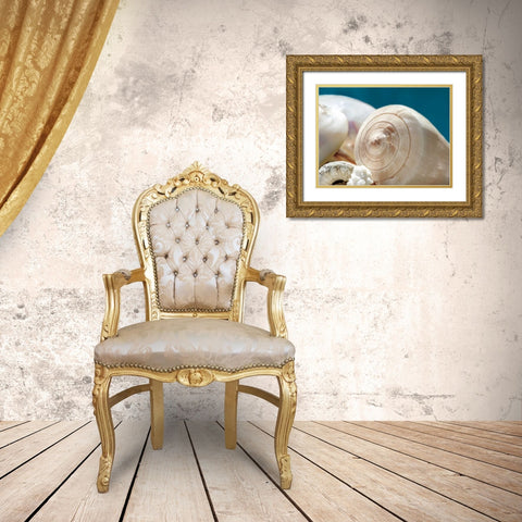 Shell Quartet Gold Ornate Wood Framed Art Print with Double Matting by Marie, Dina