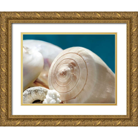 Shell Quartet Gold Ornate Wood Framed Art Print with Double Matting by Marie, Dina