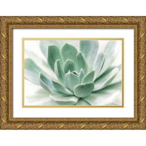 Zen Gold Ornate Wood Framed Art Print with Double Matting by Marie, Dina