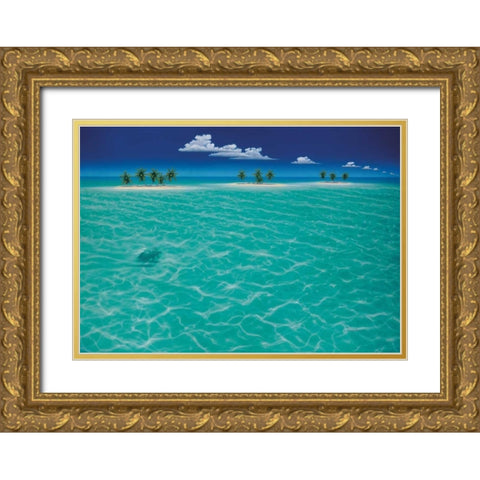 Turtle Crossing Gold Ornate Wood Framed Art Print with Double Matting by Mackin, Dan