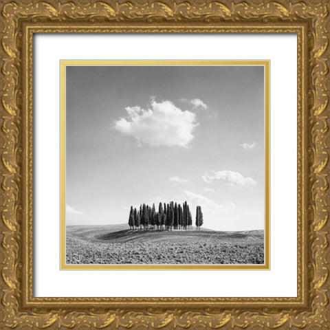 Cypress Trees Gold Ornate Wood Framed Art Print with Double Matting by Miele, Jean