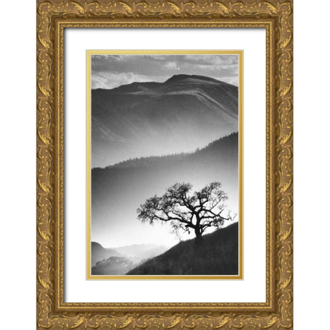 Black Oak Gold Ornate Wood Framed Art Print with Double Matting by Miele, Jean