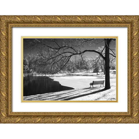 Heritage Pond in Winter Gold Ornate Wood Framed Art Print with Double Matting by Nagler, Monte