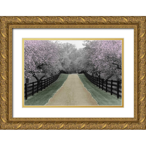 Apple Blossom Lane Gold Ornate Wood Framed Art Print with Double Matting by Nagler, Monte