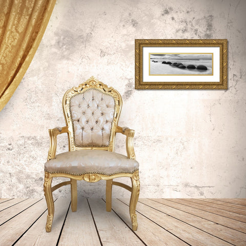 Moeraki Boulders Panorama Gold Ornate Wood Framed Art Print with Double Matting by Nagler, Monte