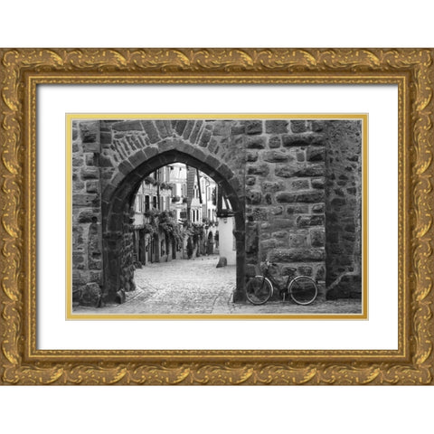 Bicycle of Riquewihr Gold Ornate Wood Framed Art Print with Double Matting by Nagler, Monte