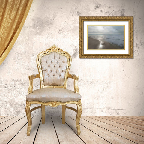 Beach Flight Gold Ornate Wood Framed Art Print with Double Matting by Nagler, Monte