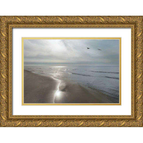Beach Flight Gold Ornate Wood Framed Art Print with Double Matting by Nagler, Monte