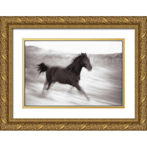 Americana Gold Ornate Wood Framed Art Print with Double Matting by OMara, James