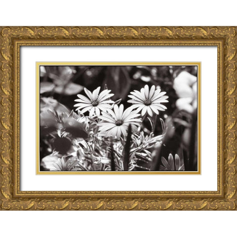 Americana Gold Ornate Wood Framed Art Print with Double Matting by OMara, James