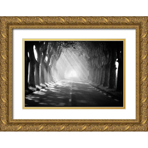 Provence Gold Ornate Wood Framed Art Print with Double Matting by OMara, James