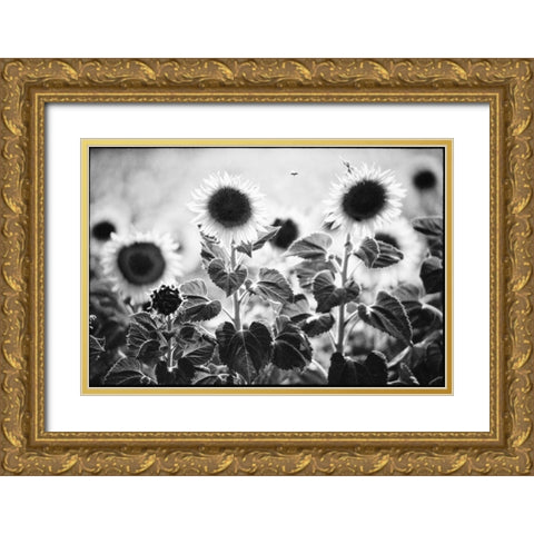 Provence Gold Ornate Wood Framed Art Print with Double Matting by OMara, James