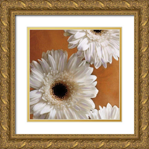 Gerber Delight I Gold Ornate Wood Framed Art Print with Double Matting by Pahl, Janel