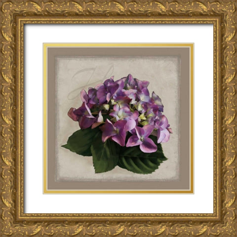 Botanical Hydrenga Gold Ornate Wood Framed Art Print with Double Matting by Pahl, Janel