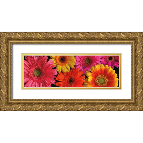 Simply Spring Gold Ornate Wood Framed Art Print with Double Matting by Pahl, Janel
