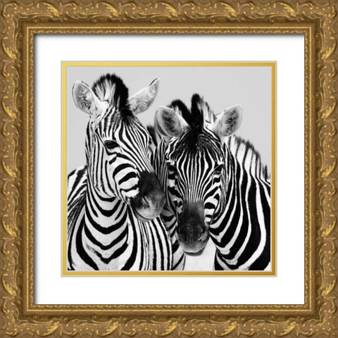 Namibia Zebras Gold Ornate Wood Framed Art Print with Double Matting by Papiorek, Nina